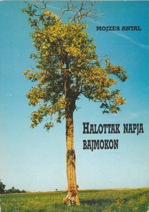 Halottak napja Bajmokon - Oskola Antikvárium