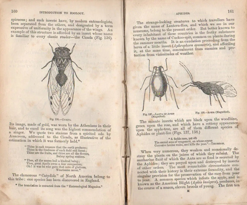 Introduction to Zoology for the Use of Schools I. - Oskola Antikvárium
