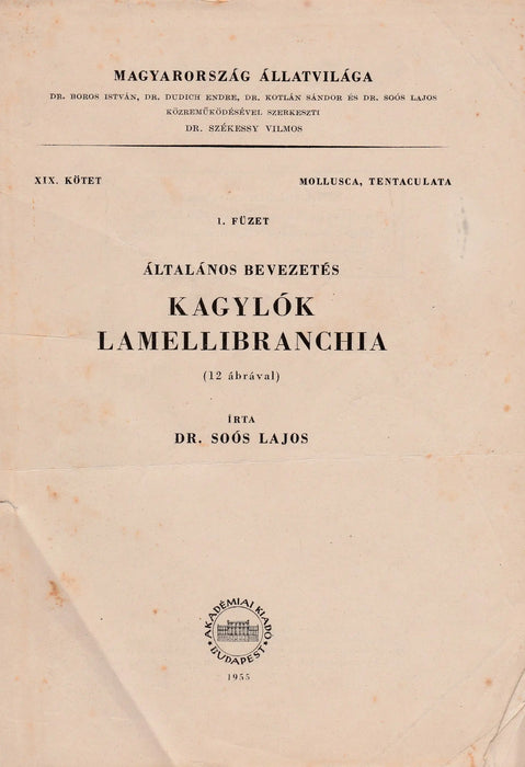 Kagylók - Lamellibranchia - Oskola Antikvárium