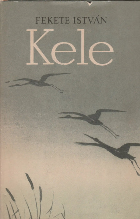 Kele - Oskola Antikvárium