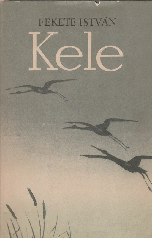 Kele - Oskola Antikvárium