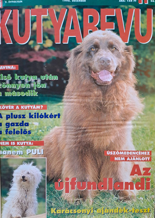 Kutyarevü IV - V. évfolyam 1995 - 1996 - Oskola Antikvárium