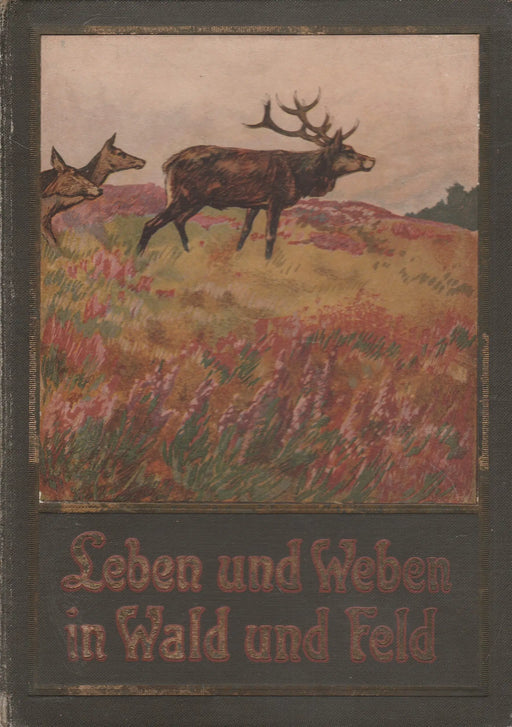 Leben und Weben in Wald und Feld - Oskola Antikvárium