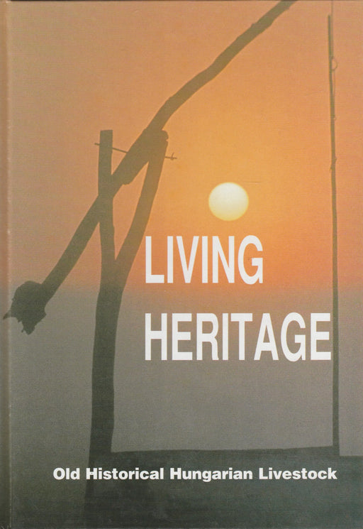 Living Heritage - Oskola Antikvárium
