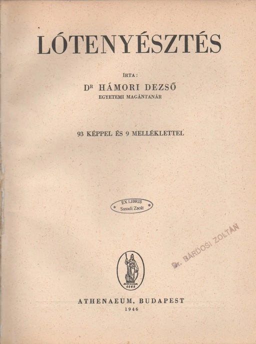 Lótenyésztés - Oskola Antikvárium