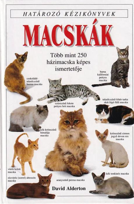 Macskák - Oskola Antikvárium