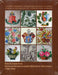 Magyar keménycserép/Kőedény művészet 1786–1910 - Oskola Antikvárium