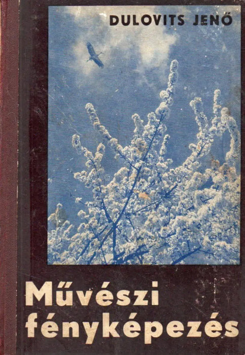 Művészi fényképezés - Oskola Antikvárium
