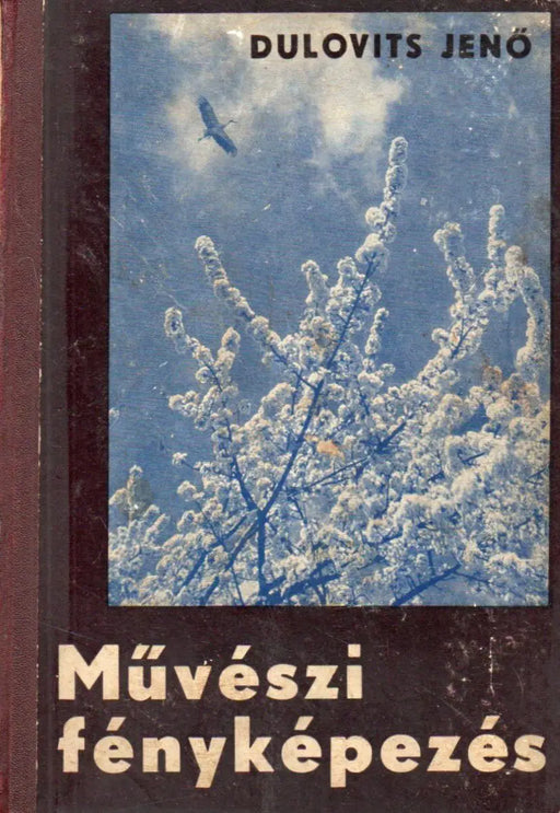 Művészi fényképezés - Oskola Antikvárium