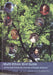 Multi - Ethnic Bird Guide of the Sub - Antarctic Forests of South America - Oskola Antikvárium