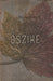 Őszike - Oskola Antikvárium