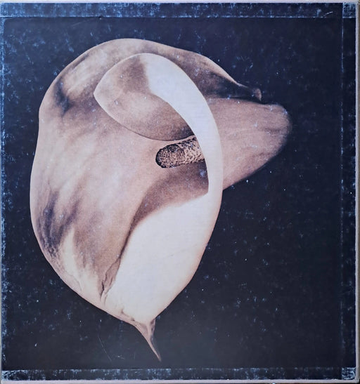 Pistils - Oskola Antikvárium