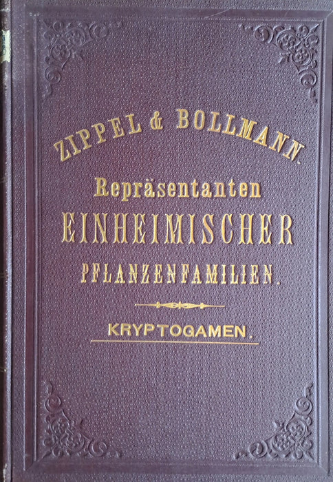 Repräsentanten einheimischer Pflanzenfamilien: Phanerogamen I - IV. - Kryptogamen - Oskola Antikvárium