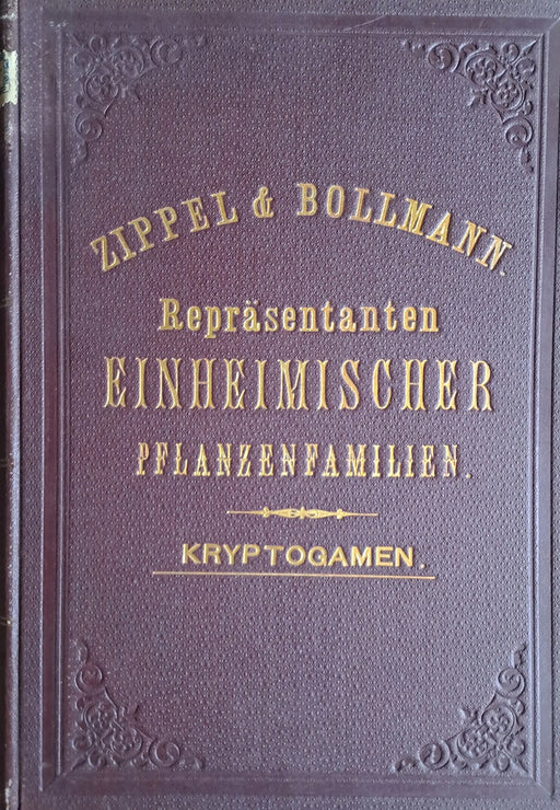 Repräsentanten einheimischer Pflanzenfamilien: Phanerogamen I - IV. - Kryptogamen - Oskola Antikvárium