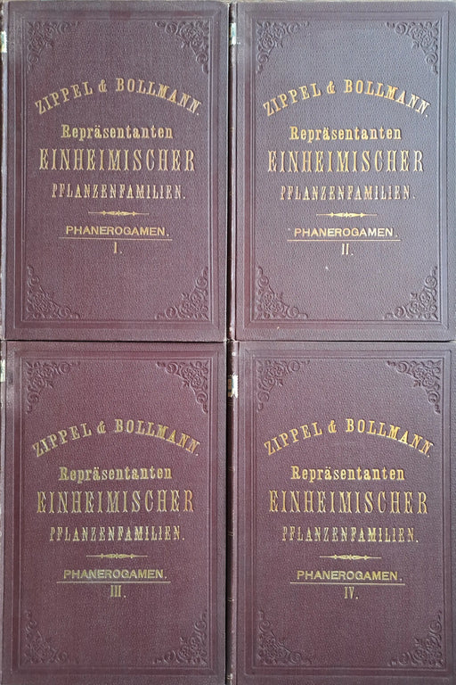 Repräsentanten einheimischer Pflanzenfamilien: Phanerogamen I - IV. - Kryptogamen - Oskola Antikvárium