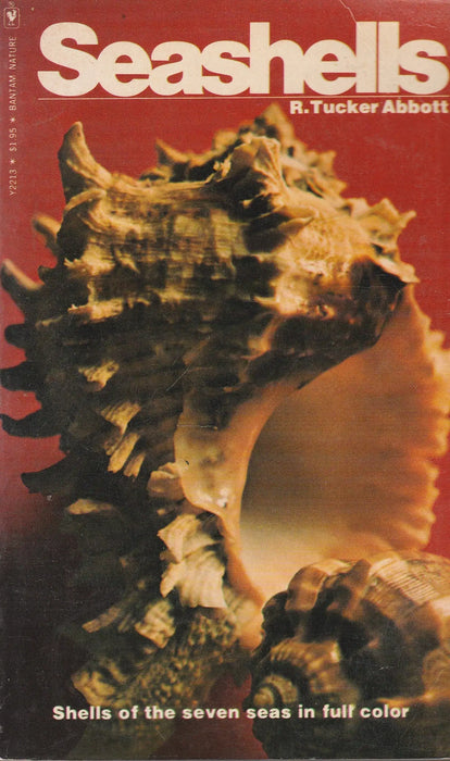 Seashells - Oskola Antikvárium