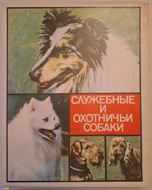 Служебные и охотничьи собаки - спички - Segítő és vadászkutyák - gyufák - Oskola Antikvárium