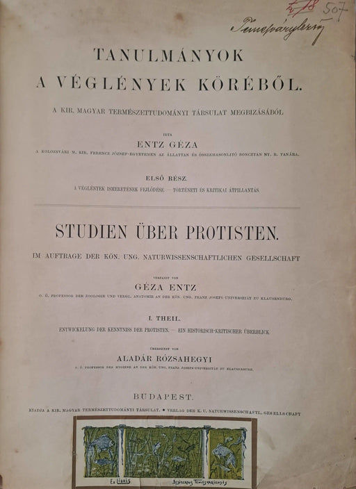 Tanulmányok a véglények köréből I. - Studien über Protisten I. - Oskola Antikvárium