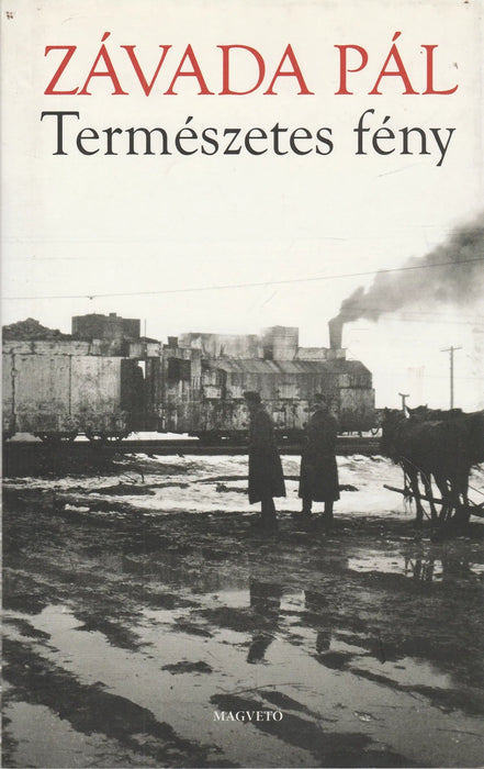 Természetes fény - Oskola Antikvárium