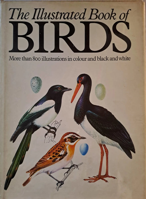 The Illustrated Book of Birds - Oskola Antikvárium