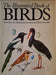 The Illustrated Book of Birds - Oskola Antikvárium