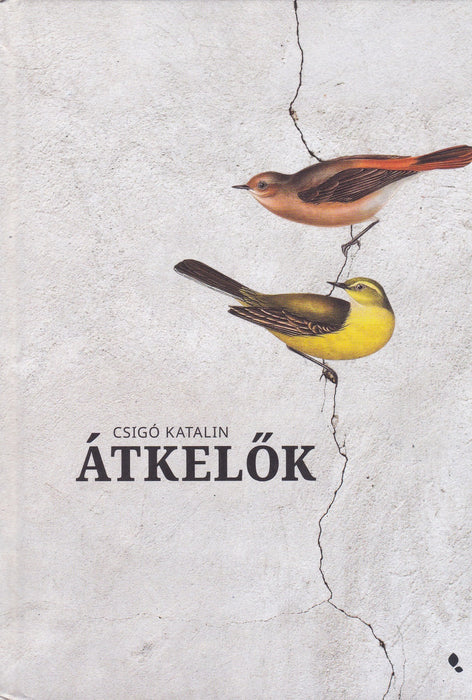Átkelők
