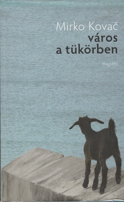 Város a tükörben - Oskola Antikvárium