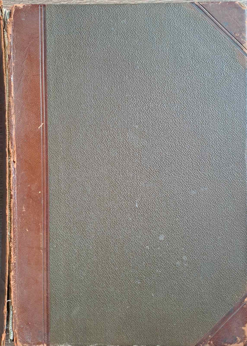 Az állatok világa 4. Madarak I.