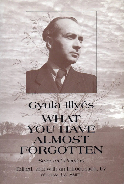 What You Have Almost Forgotten - Oskola Antikvárium